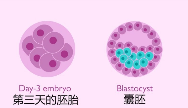 浙江不孕不育医院
