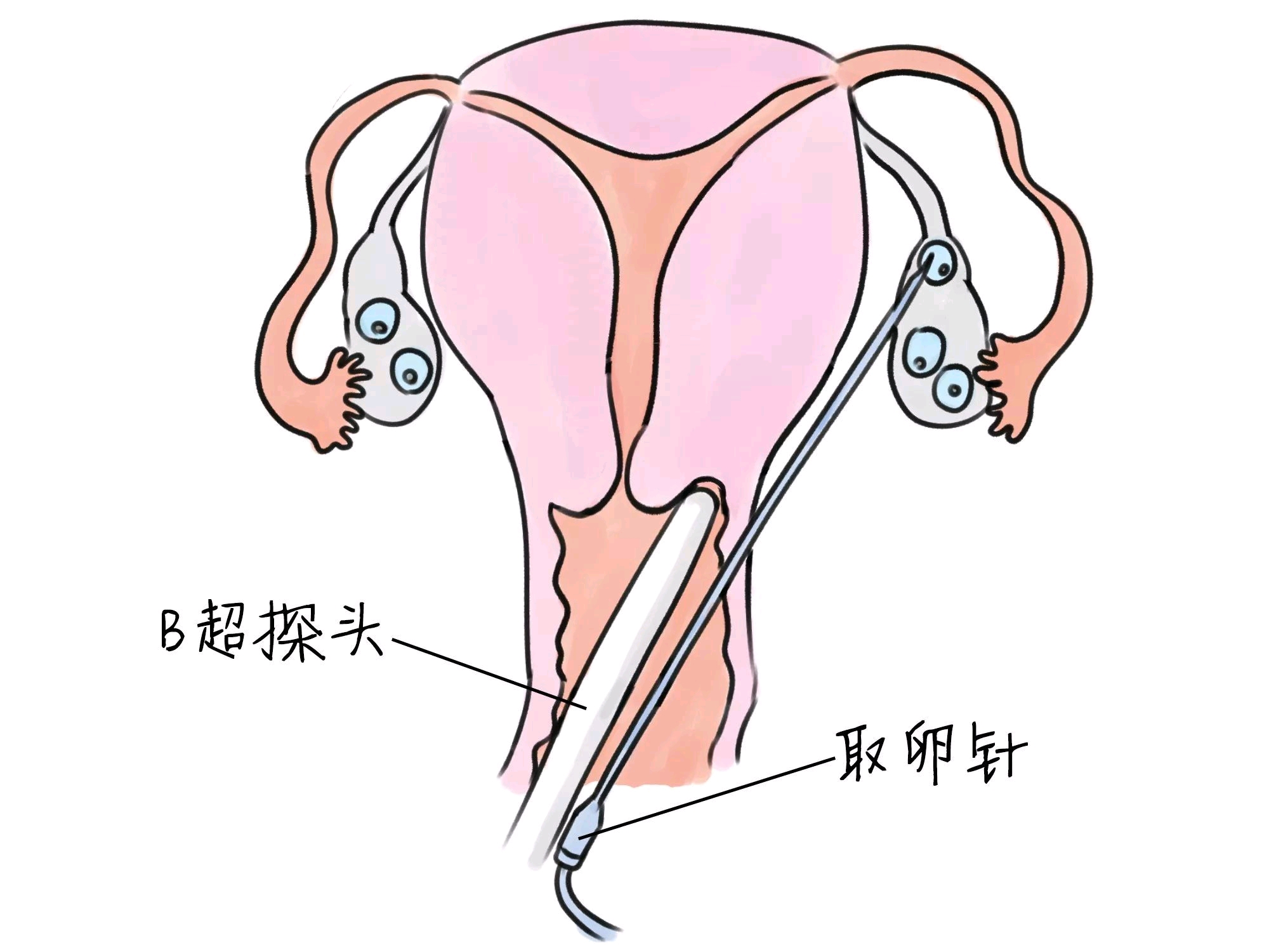 济南省立医院