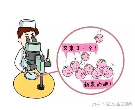 海口助孕中心