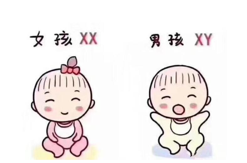 济宁不孕不育医院