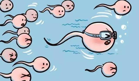 浙江助孕