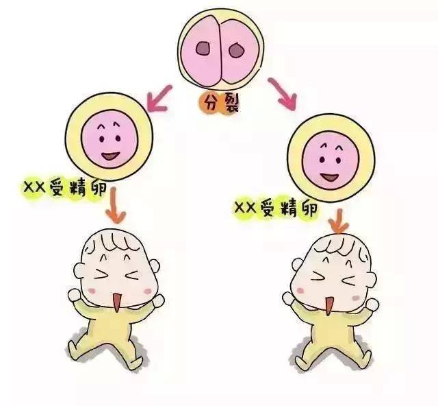 泰国试管婴儿