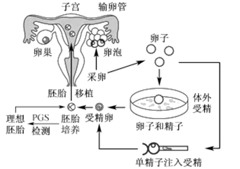 济南不孕不育
