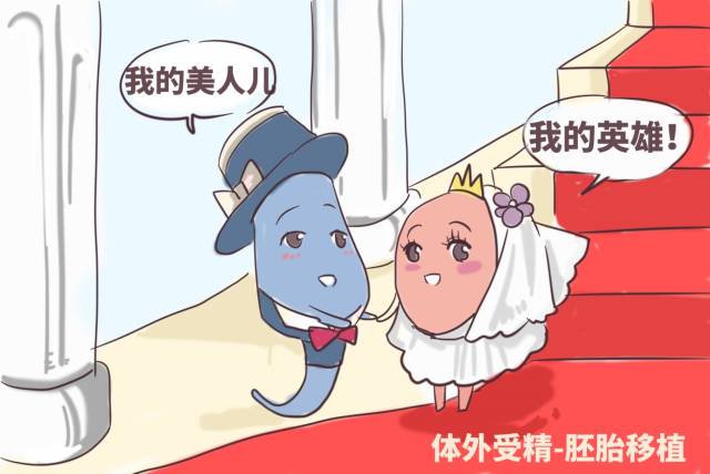 济南试管婴儿