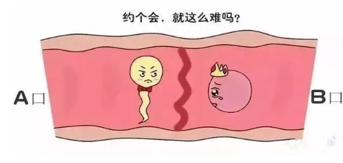 海外试管婴儿