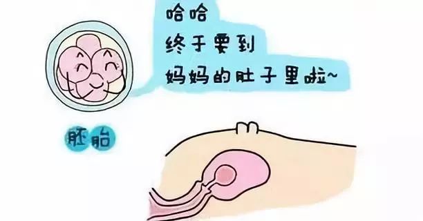 海南不孕不育