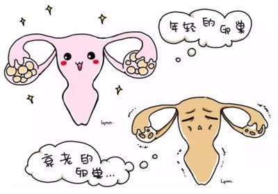 不孕不育