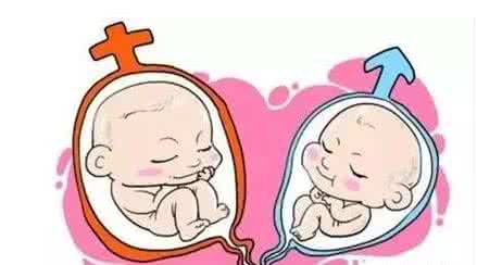 海口试管婴儿