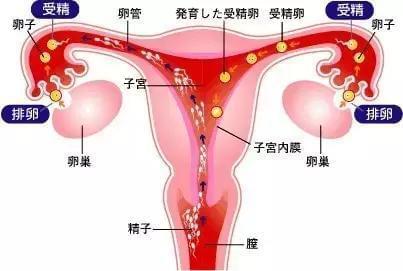 济南