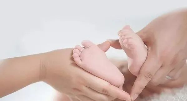 测试管理软件