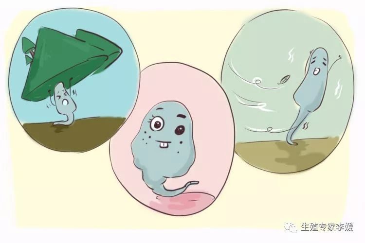 济南试管婴儿