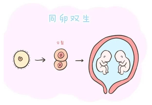 海南不孕不育